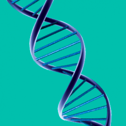 Ciências Biológicas